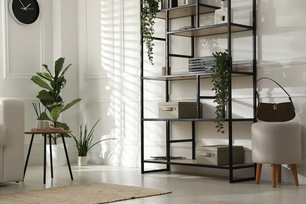 placard salon
